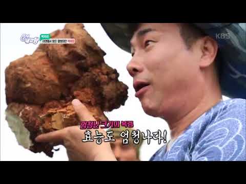 6시 내고향